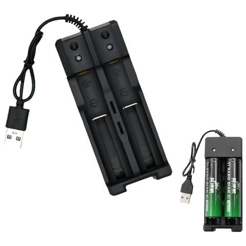 Caricabatteria LCD agli ioni di litio a 2 Slot per