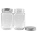 novelinks 16 oz Clear Plastic Jars with Screw-On Lids - BPA-Free Refillable Storage Containers for Slime, Food, Crafts, Kitchen & Household Use (10 Pack,Silver)