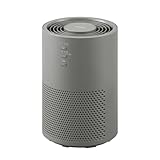 AAP-S20C-H [�O���[]