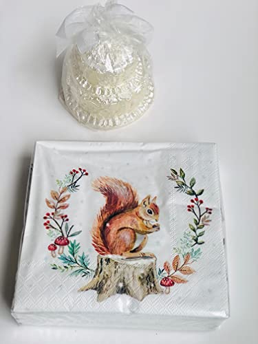 Nantucket 40-Ct 13X13 Squirrel Napkins Paper Animal Napkins Decoupage Berry Nuts Mushroom Thanksgiving Napkins Fall Paper Napkins Fall Cocktail Napkins Winter Dinner Napkin, Multicolor #TOP3