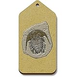 Conjunto de 10 etiquetas. Azeeda 10 x \'Fósil de Trilobites\' Regalo/Equipaje Etiquetas (TG00097911)