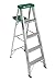 Werner 355 Stepladder, 5-Foot
