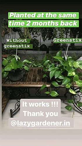 Image of Lazy Gardener Plant Food Sticks | Greenstix for Leafy Veggies & Green Plants| Essential Nutrition, Hassle-Free & Slow-Release | Pack of 4