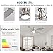 JSAITEE Ceiling Fans with Lights, 52 Inch Low Profile Ceiling Fan with Light and Remote Control, Flush Mount, DC Reversible Motor, Noiseless, Nickel 6 Speeds Ceiling Fan for Bedroom