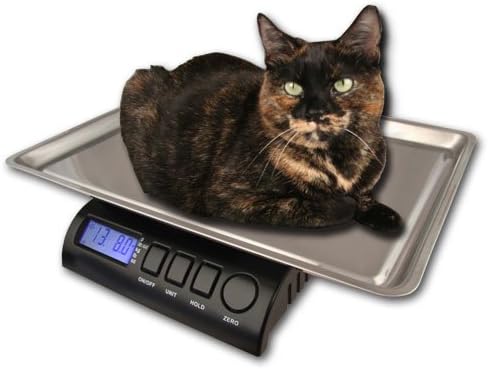 ZIEIS | 30 Lb. Capacity | Medium Pet Series - Digital Cat Scale | Z30P-SST | BigTop (15" x 10" x 1" ID) Stainless Steel Top | AC/DC…