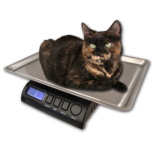 ZIEIS | 30 Lb. Capacity | Medium Pet Series - Digital Cat Scale | Z30P-SST | BigTop (15" x 10" x 1" ID) Stainless Steel Top | AC/DC Power | 0.1 Ounce Accuracy