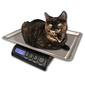 ZIEIS | 30 Lb. Capacity | Medium Pet Series - Digital Cat Scale | Z30P-SST | BigTop (15