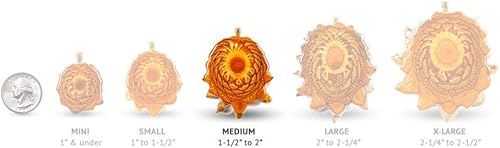 Miniatura 2 de Third Eye Pinecones Colgante de piña natural