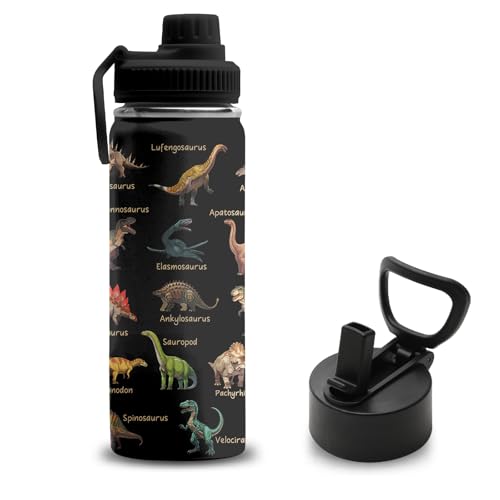 Dinosaur Gifts for Boys 18 oz Stainless Steel Water Bottles with 2 Lids Insulated Water Bottle with Straw Dinosaur Cups for Travel Sports Outdoor Birthday Christmas Gifts for Boys Dino Lovers