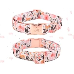 Elegant little tail Dog Collar, Pink Floral Pattern Pet Collar Summer Durable Cute Dog Collars Male or Female Pet Gift Adjustable Dog Collar for Medium Dogs Elegant little tail Dog Collar Pink Floral Pattern Pet Collar Summer Durable Cute Dog Collars Male or Female Pet Gift Adjustable Dog Collar for Medium Dogs