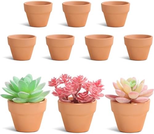 Lucywey 10 Stücke Kleine Terrakotta Töpfe 5cm Mini Terrakotta Tontöpfe