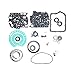 Transnation 62TE Auto Transmission Seals Kit Overhaul Gaskets Fit For VW Chrysler Dodge 2008-UP Car Accessories B077820C