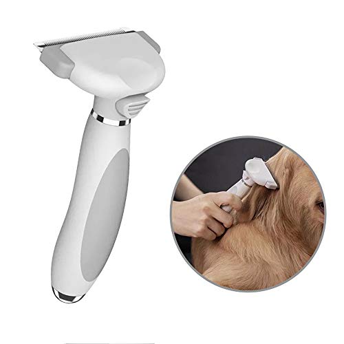Rateau Professionnel Chiens