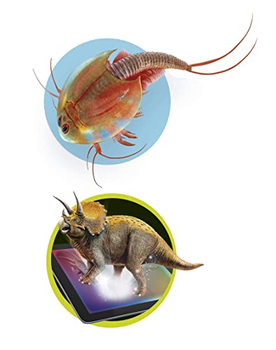 Science et jeu : Triops et le monde des dinosaures Clementoni Jeux - vue 7