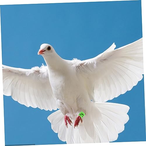 GLSTOY 100 Pçs Tornozeleira De Pombo Bandas De Identificação De Pombos Banda De Perna De Pombo Anéis