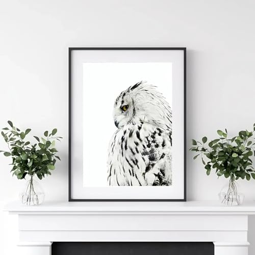 Toile murale hibou avec cadre pour habiller un grand mur vide de salon de 80x110cm