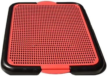 MY PET BRASIL Sanitário para Cães, Xixi Dog, sanitário canino san...