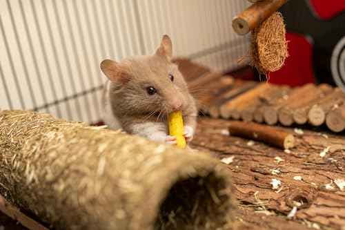Image of SIMENA Wooden Hamster Suspension Bridge Toy, Hamster Fencing, Natural Climbing Ladder for Dwarf Hamsters, Syrian Hamsters, Mice, Gerbils & Small Pets (Natural, 19.7 inch)
