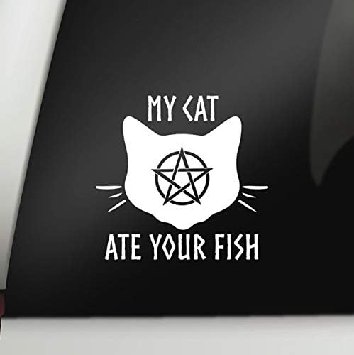 cat ate my fish