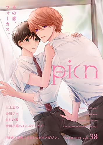 comic picn vol.38 (picn comics)