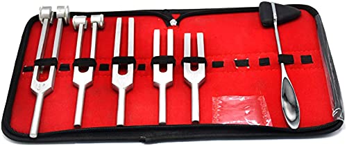 AAProTools 6 pcs Reflex Percussion Taylor Hammer Tuning Fork C128 C 512 C256 C1024 C2048