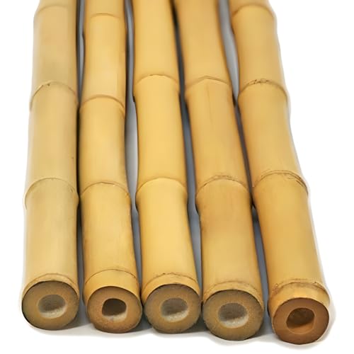 Backyard X-Scapes Natural Bamboo Pole 1in D x 8ft H