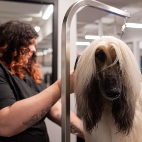 0710: Pawsperity with Jenn Strickland