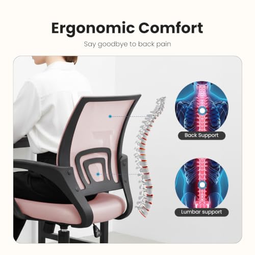 Image of DUMOS Ergonomic Office Chair, Mid-Back Executive Desk Chair 2 Pack