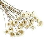 Puede usarlos para hacer su propia combinación de mini arreglos florales, o dárselos a sus amigos como regalo.