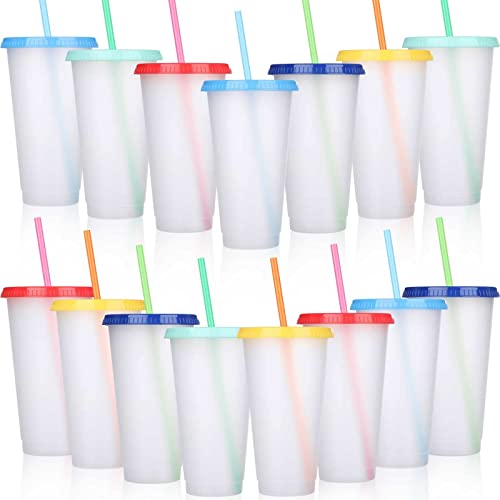 Honeydak Tumbler with Straw and Lid Bulk Water Bottle Iced Coffee Travel Mug Cup Reusable Plastic Cups for Parties Birthdays 24-27 oz (Stylish Color, 15 Pack) Honeydak Tumbler with Straw and Lid Bulk Water Bottle Iced Coffee Travel Mug Cup Reusable Plastic Cups for Parties Birthdays 24-27 oz (Stylish Color, 15 Pack)