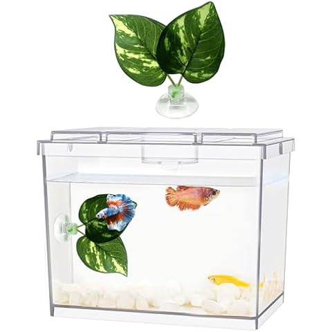 MoonOrange Mini Betta Fish Tank Cover