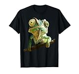 Divertidos camaleones para los amantes de reptiles
