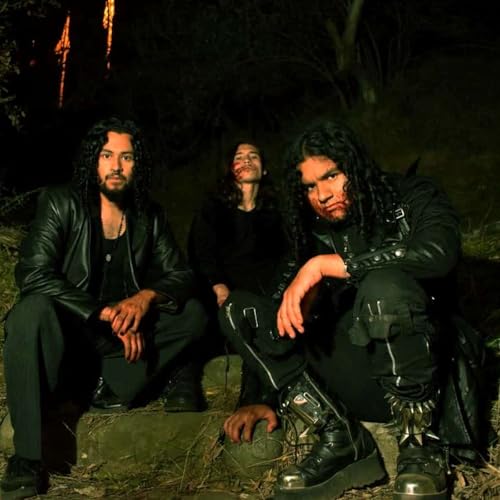 Page de couverture de The Marcelas on Rock In:flux