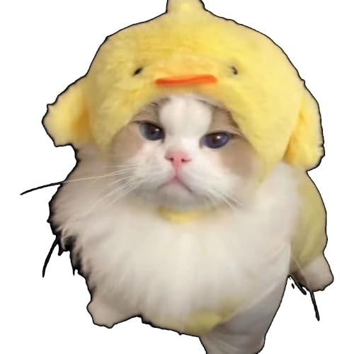 Effonek Lƌ̖Xqybgt@bVړIʂ݃wbhJo[킢^jo[T (S,F)