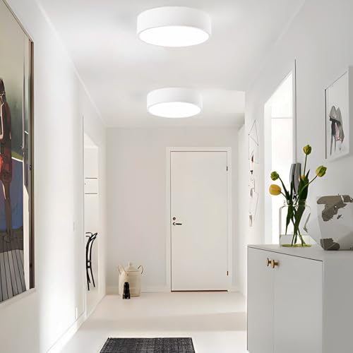 Image of 2-Light Modern White Flush Mount Ceiling Light 11.8 Inch