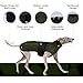 Wasserdichter Windhundmantel, Wasserdichter Winddichter Jacken für Windhund Rollkragenpullover Fleece Windhund Sweater Salukis warm Mantel