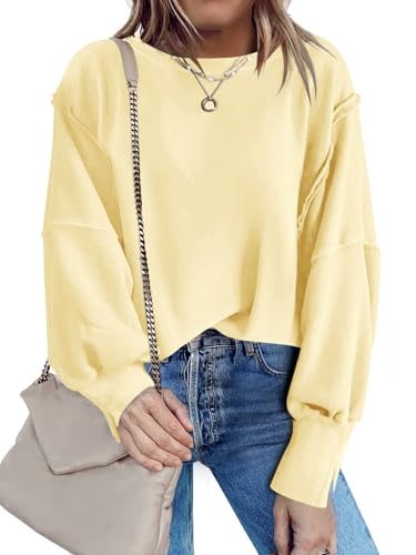 Nirovien Womens Oversized Crewneck Sweatshirt Side Slit Long Sleeve Pullover Slouchy Fit Tops2