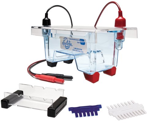 Edvotek M6Plus Electrophoresis Apparatus, 1 Lab Groups Sample, 7cm Length x 10cmcm Width Trays