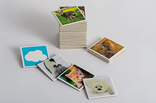 Tierkinder-Memo. 40 Spielkarten Im Spielkarton: Memo-Spiel mit 40 Spielkarten im Spielkarton