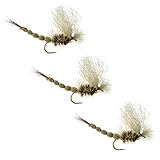 Fly Fishing Flies by Colorado Fly Supply - Green Drake Extended Body - Foam and Attractor Dry Flies - Green Drakes - Trout Flies and Lures - 3 Fly Pack