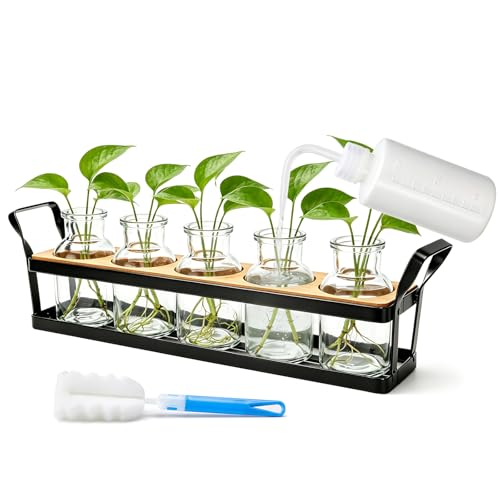 Salzesfalls Propagation Stations with Metal Stand Plant Propagation Station & Vases Table Top Plant Stand 5 Glass Jars for Hydroponic Plant Propagation Plant Lover Gifts