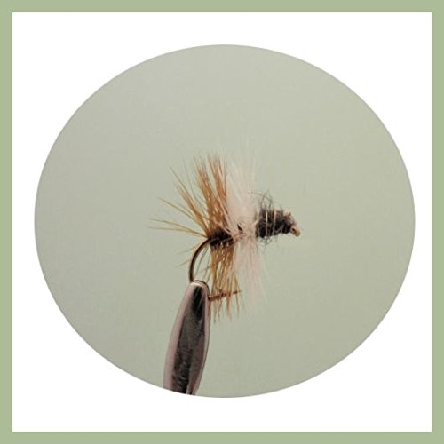 12 pack of Dry Leckford Professor Fishing Flies. Mixed Sizes 12, 14, 16