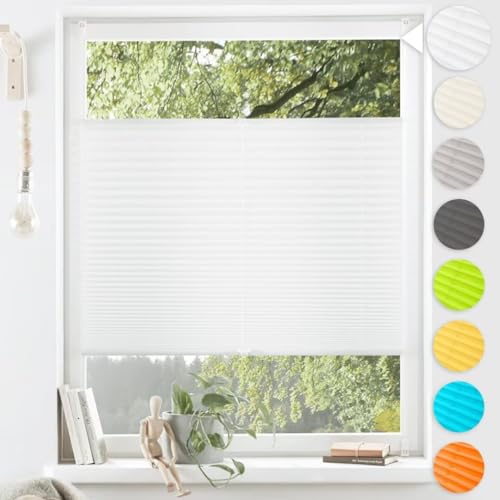 aldi nord plissee Test auf VVWN vvwn.de