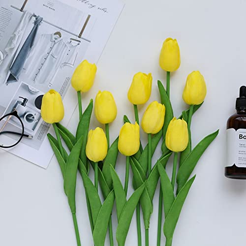 `[bv 10{ k  ͂Ȃ ԑ u[P lHϗtA hCt[  { CeA Bep 蕨 d؂ Ւf v[g ̓  j rO[  K[f 