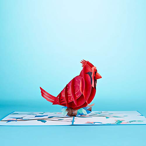 Lovepop Love Cardinal Pop Up Card - 3D Card, Bird Pop Up Card, Card for Wife, Card for Mom, Anniversary Pop Up Card, Cardinal Card, Spring Card, Summer Card - Thumbnail 5