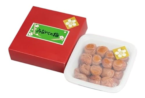 yߔzuIB~v500g `a̎RY Y̓`~`