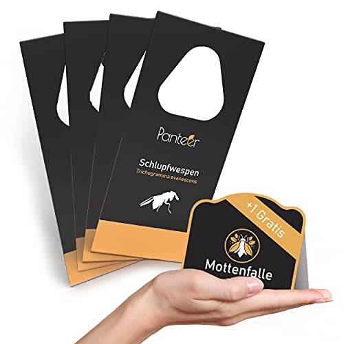 Panteer® Schlupfwespen gegen Lebensmittelmotten + GRATIS Mottenfalle Cover
