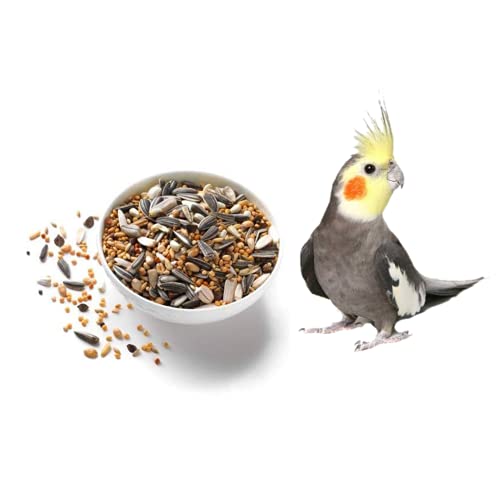 All-Life-Stages-Cockatiel-and-African-Love-Birds-Seed-Mix-1Kg-1-Count