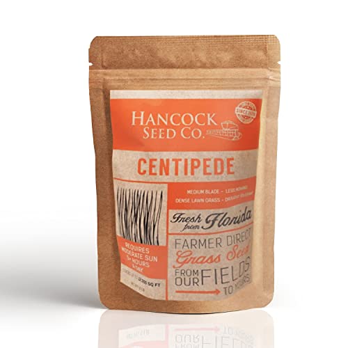 Hancock's Centipede Grass Seed - Coated - 2 lbs.