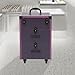 Rolling Cosmetic Trolley Storage Organizer Luggage Box, Salon Cosmetic Trolley Makeup Case, Beauty Nail Hair Styling Travel Suitcase with Lockable Drawers & 4 Wheel(2 with Brakes) (Black, Purple)